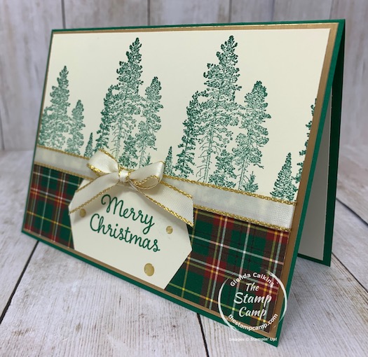 Do you have the Tailored Tag punch from Stampin' Up!? If not you may want to give this punch a second look because you can do so much more with it than just punching out a sentiment or creating a mat. Check out my blog post here for some tips and techniques using the Tailored Tag punch: https://wp.me/p59VWq-bqz. #stampinup #tailoredtagpunch #punches #thestampcamp