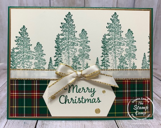Do you have the Tailored Tag punch from Stampin' Up!? If not you may want to give this punch a second look because you can do so much more with it than just punching out a sentiment or creating a mat. Check out my blog post here for some tips and techniques using the Tailored Tag punch: https://wp.me/p59VWq-bqz. #stampinup #tailoredtagpunch #punches #thestampcamp