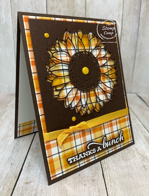 Here is another peek-a-boo window card using the Celebrate Sunflowers Bundle. I love to create windows with dies or framelits as I did with this card. The Celebrate Sunflowers is my featured stamp set for August 2020. Details can be found on my blog here: https://wp.me/p59VWq-bpg. #stampinup #celebratesunflowers #thestampcamp #technique