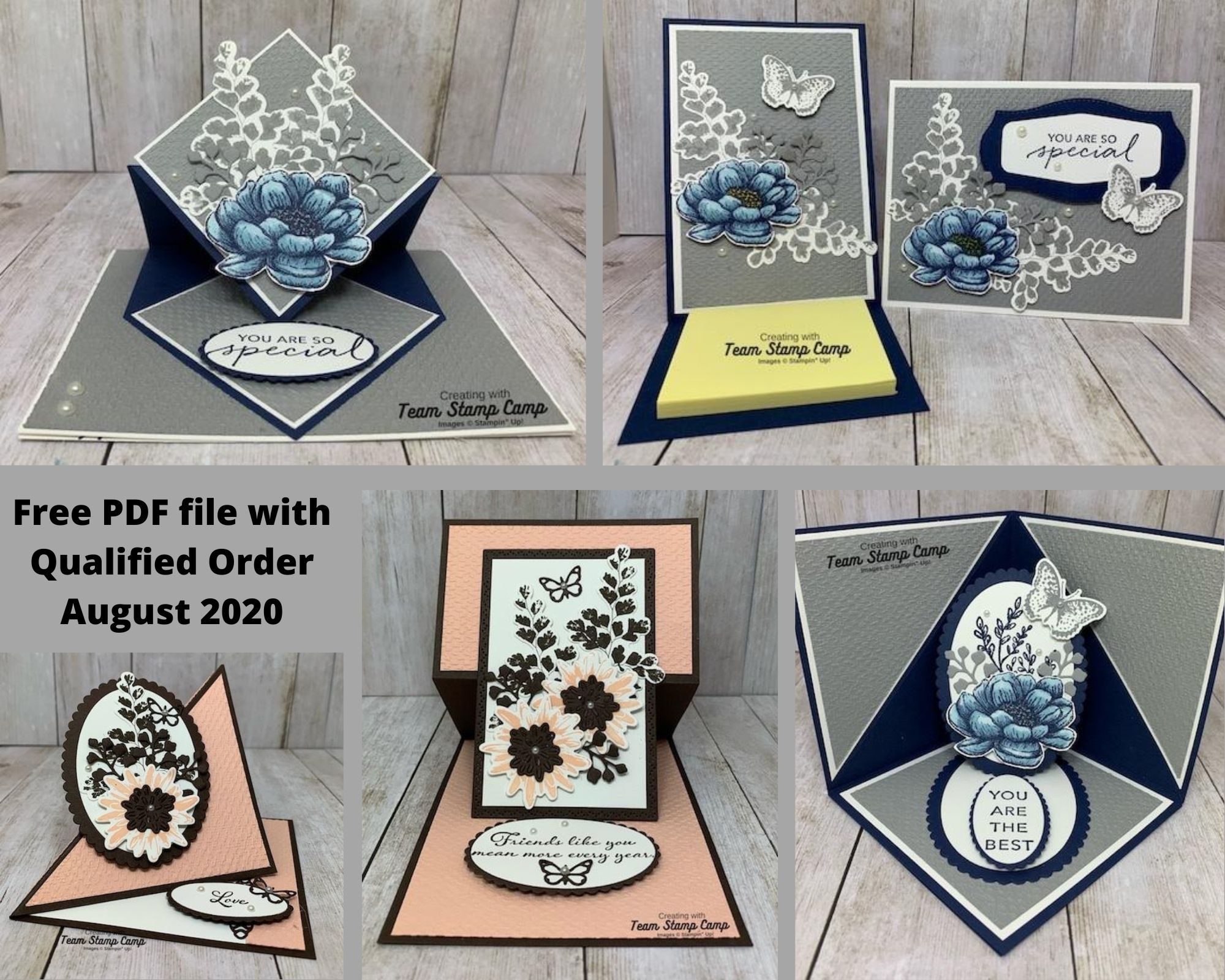 This month's Customer Appreciation PDF file for August is All About Easel Cards. I chose to use the Positive Thoughts stamp set, Nature's Thoughts Dies and the Tasteful Touches Bundle. Details can be found on my blog here: https://wp.me/p59VWq-bnN #stampinup #thestampcamp #easelcards