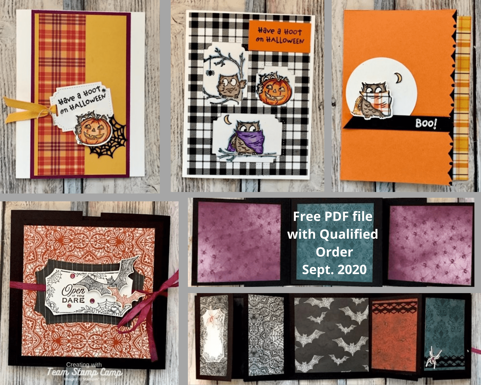 This month's customer appreciation PDF file is FREE with a min. $30.00 order and the use of this host code: 4BZBRQQ3