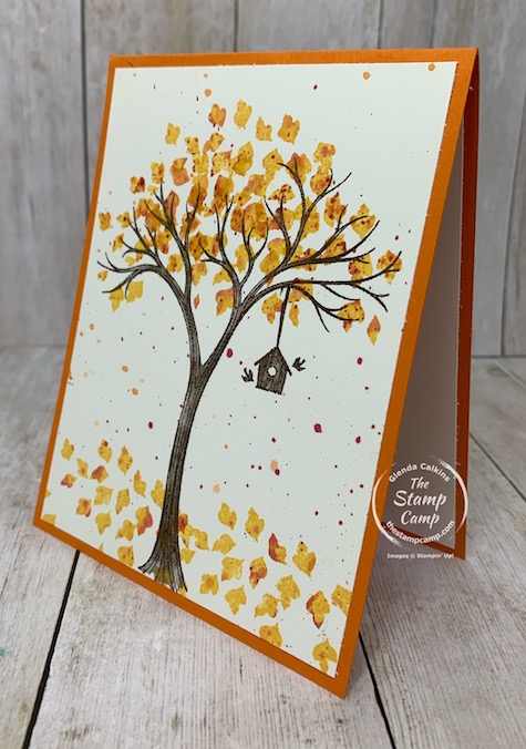 Tuesday's Tips and Techniques for today is a bit of a faux technique. I'm calling this a faux Baby Wipe technique as it looks like it was done that way but it was not. Details can be found on my blog here: https://wp.me/p59VWq-bsn. #stampinup #fauxbabywipe #technique #fall #thestampcamp