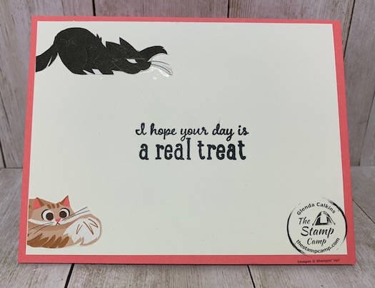 Whether you are a dog lover or a cat love you will love the Playful Pets Suite of products from Stampin' Up! This card was created for my granddaughter Sophia who loves dogs but lately says she wants a kitty too. Details are on my blog here: https://wp.me/p59VWq-btk. #stampinup #playfulpets #thestampcamp #pamperedpets
