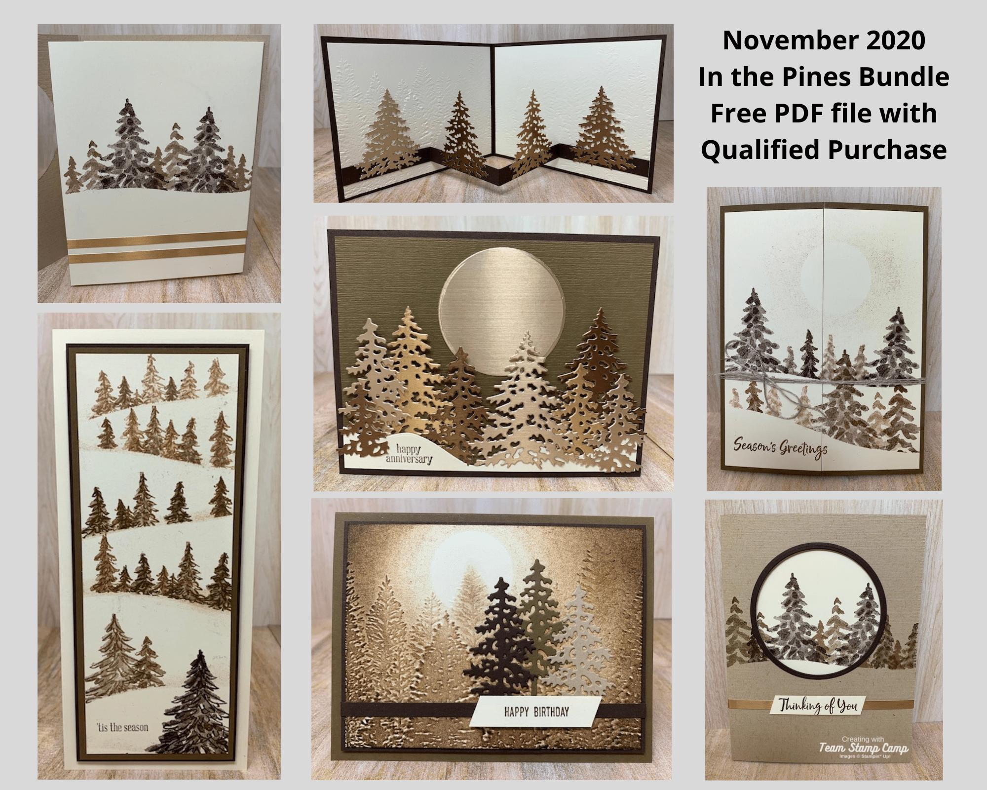 My Customer Appreciation PDF file for November 2020 is the In The Pines Bundle and this month's cards were created by Sara. She did an awesome job and all the cards have a bit of a tip or technique to them and all masculine. More details can be found on my blog here: https://wp.me/p59VWq-bzi. #stampinup #thestampcamp #masculine
