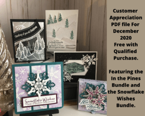 In the Pines and Snowflake Wishes are the stamp sets for the December Customer Appreciation PDF file.  The PDF file is free with a min. $30.00 order and use the December 2020 Host Code.  #stampinup #thestampcamp #Christmas