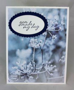The Feels Like Frost Specialty Designer Series Papers are beautiful and they are NOT just for Christmas cards. The prints in this pack can be used for many different occasions. The pictures are so life like and beautiful. #stampinup #thestampcamp #feelslikefrost