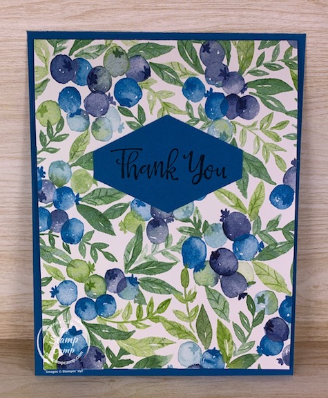 This is the quickest and easiest card you will ever create! Anyone can create this type of card! I call it the Fold and Go! #stampinup #thestampcamp #funfold #designerpaper