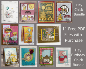 Hey Chick or Hey Birthday Chick Bundles