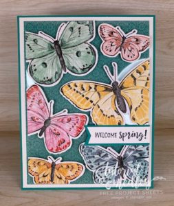 Floating Front Card with Butterfly Brilliance