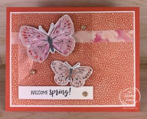 It's Saturday Sketch and this week I chose the sketch from Splitcoaststampers SC843. I also wanted to showcase the new Butterfly Brilliance Bundle that will carry over into the New Stampin' Up! Annual Catalog. #thestampcamp #stampinup #butterflybrilliance