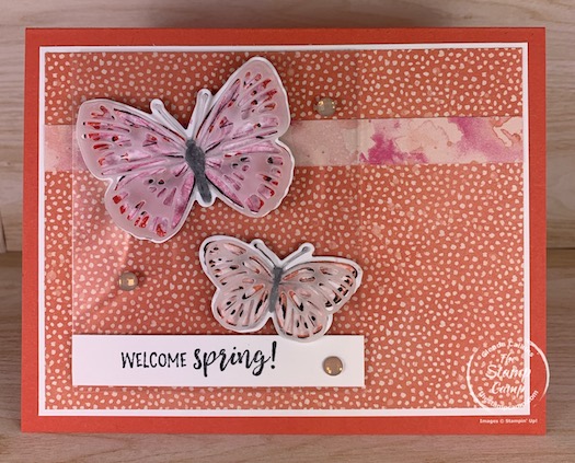 It's Saturday Sketch and this week I chose the sketch from Splitcoaststampers SC843. I also wanted to showcase the new Butterfly Brilliance Bundle that will carry over into the New Stampin' Up! Annual Catalog. #thestampcamp #stampinup #butterflybrilliance