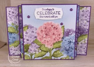 Fun Fold Friday - Scenic Panel Accordion Fun Fold