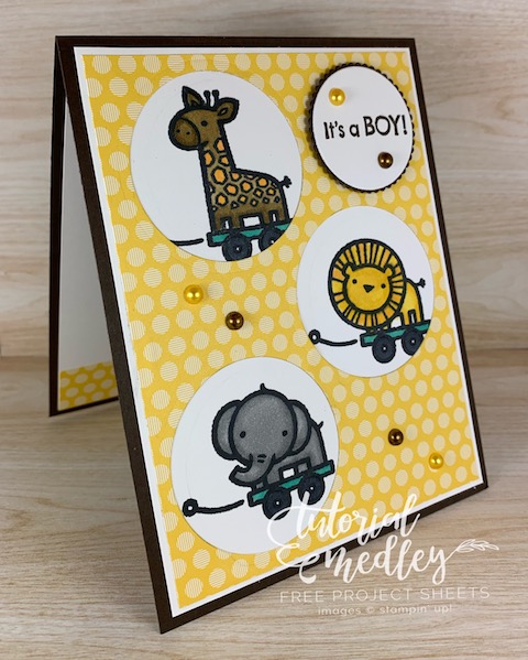 The Baby Pull Toys stamp set from Stampin' Up! is perfect for baby cards, scrapbook pages, baby announcements or baby showers. These little animals are so adorable and cute you I couldn't resist creating little peek a boo windows for them. #thestampcamp #stampinup #babycard