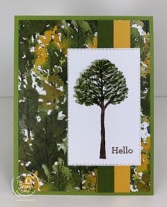 Here's Another Stampin' Up Beauty of Friendship Card for You!