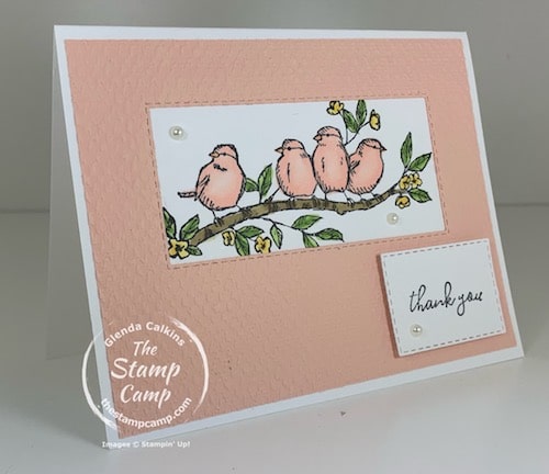 Stampin Up Free As A Bird