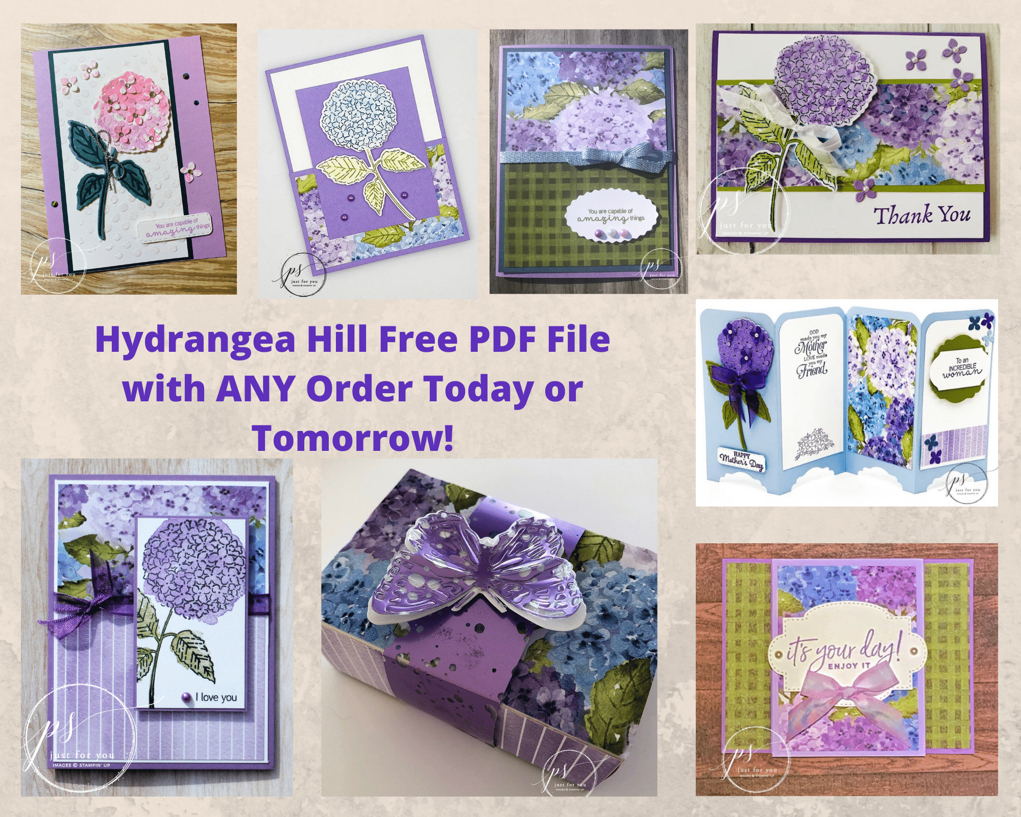 Hydrangea Hill Designer Series Paper