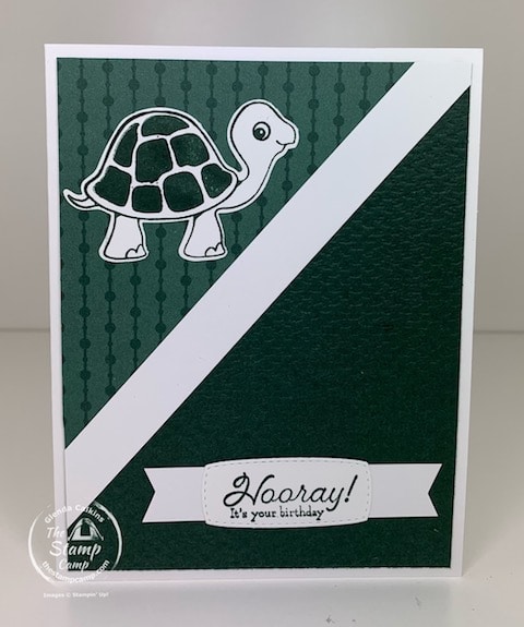 In Color with Turtle Friends Bundle