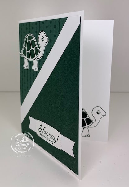 In Color Turtle Friends Bundle