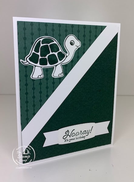 Turtle Friends Bundle in In Colors