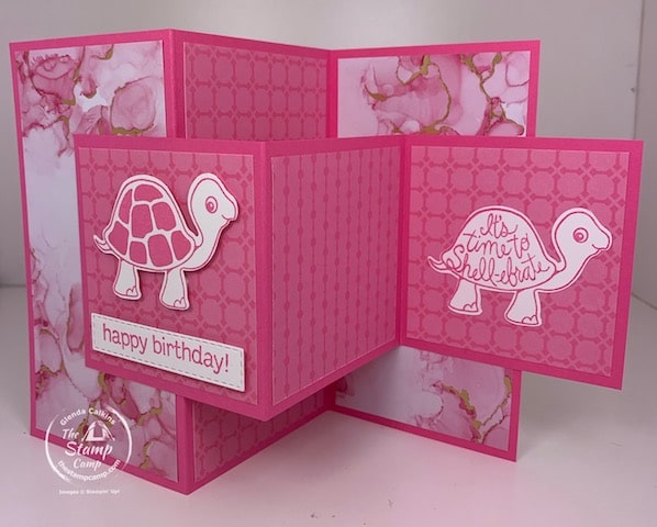 turtle friends bundle