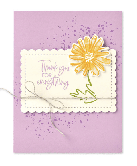 Color & Contour Stampin Up