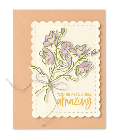Color and Contour Stampin up