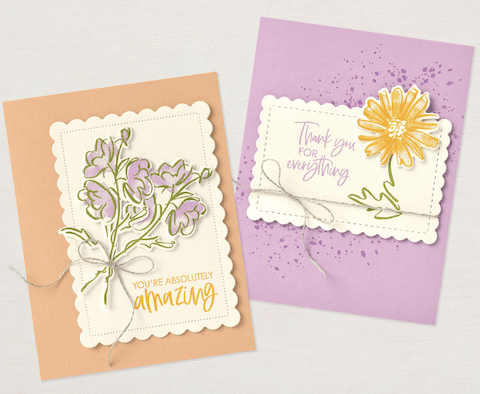 color & contour stampin up