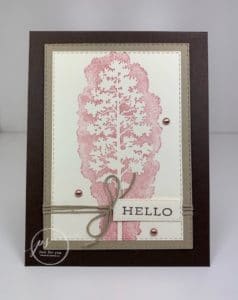 Amazing Silhouettes New Stamp Set From Stampin' Up! Catalog