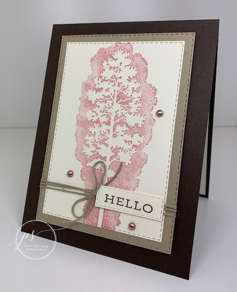 stampin up catalog