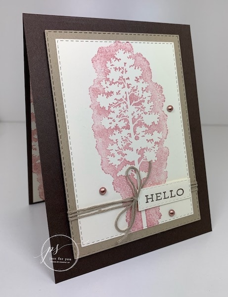 stampin up catalog