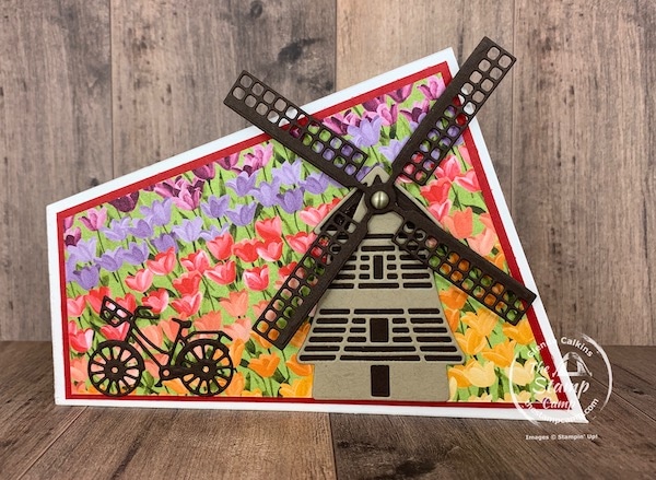 fun fold birthday card