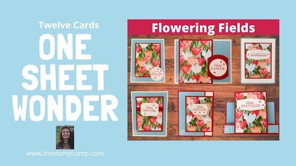 one sheet wonder cards stamping techniques
