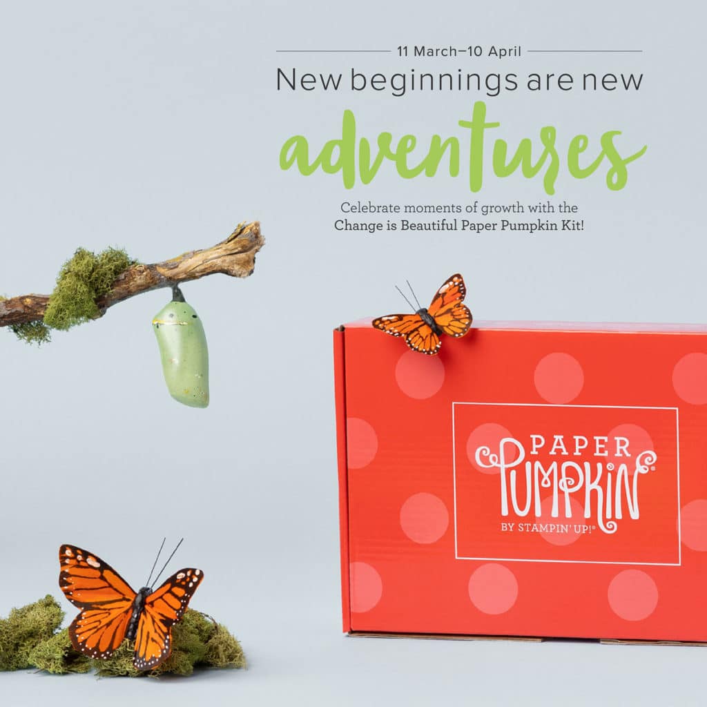card kits of the month paper pumpkin kit stampin up