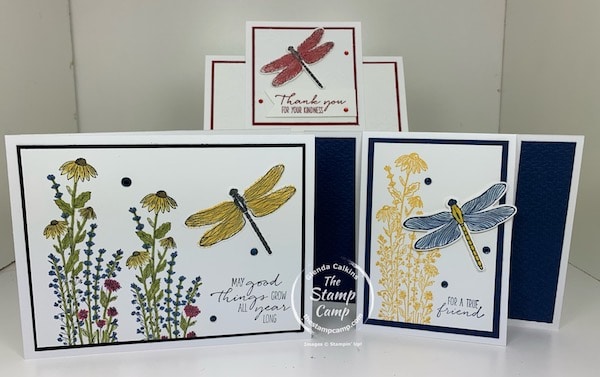 dragonfly garden bundle