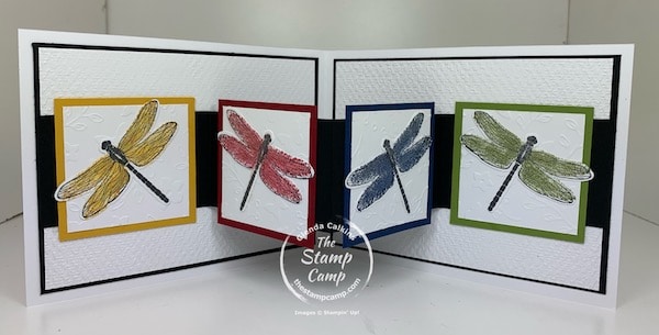 dragonfly garden bundle