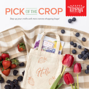 Have You Heard About The June Paper Pumpkin Kit Yet?