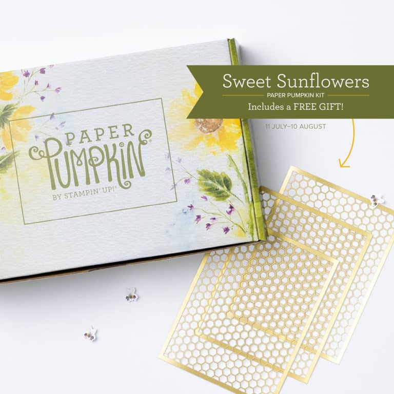 Paper Pumpkin stampin up monthly kits
