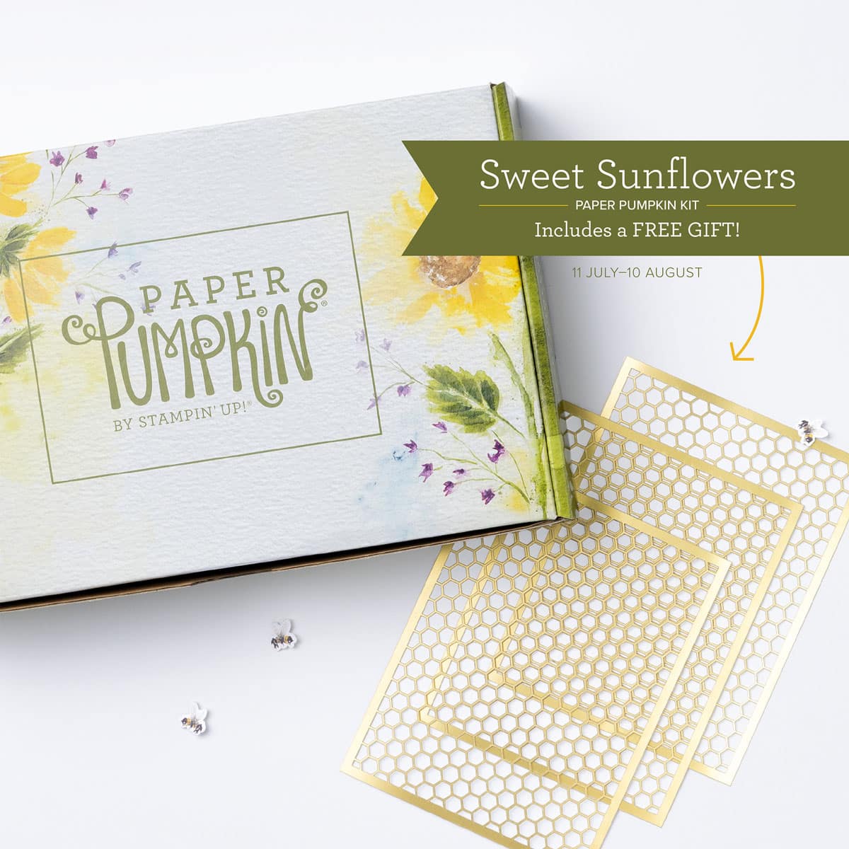 Paper Pumpkin stampin up monthly kits