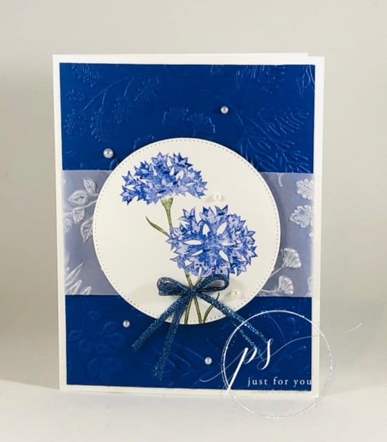 wonderful world bundle sale-a-bration