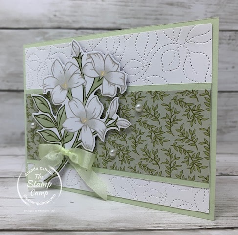 sale-a-bration mystery package