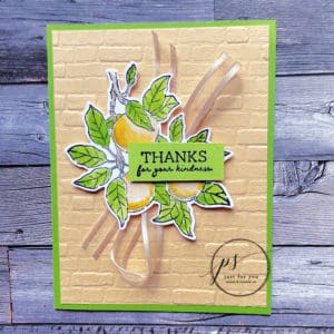 Sunday Share With Apple Harvest Bundle From Perfect Partnering Promotion