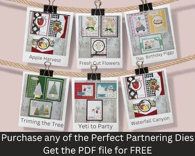 sales and specials mystery package