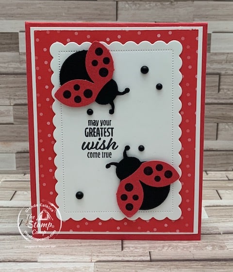 hello ladybug fun fold card