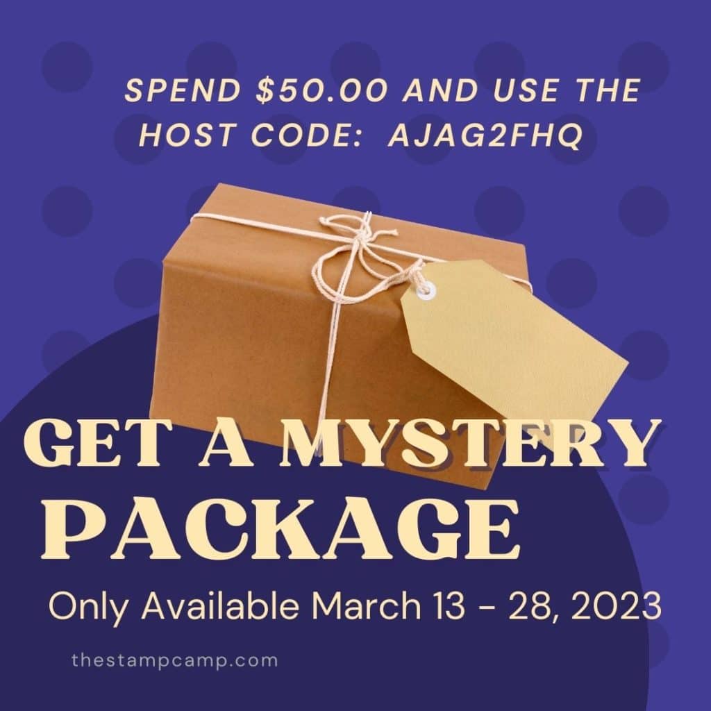Mystery Package from the Stamp Camp