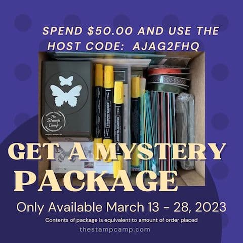 Mystery Package