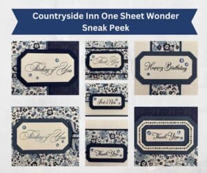 Free Shipping AND 15% Off Designer Series Paper from Stampin' Up!
