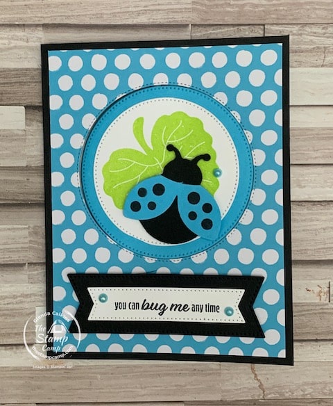 hello ladybug stamp set fun fold cards