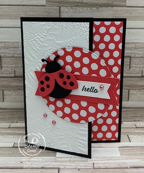hello ladybug stamp set card ideas