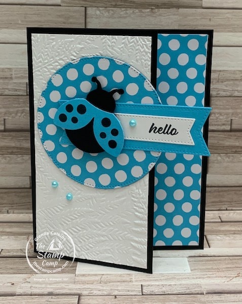 hello ladybug stamp set stampin up card ideas