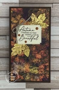 Designer Series Paper Center Panel Flip Hidden Messages Fun Fold Cards